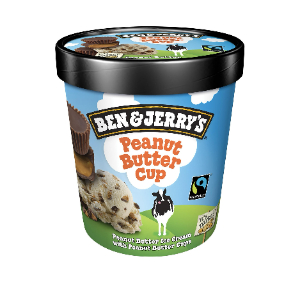 Ice cream Ben&Jerry's Peanut Butter Cup 465 ml